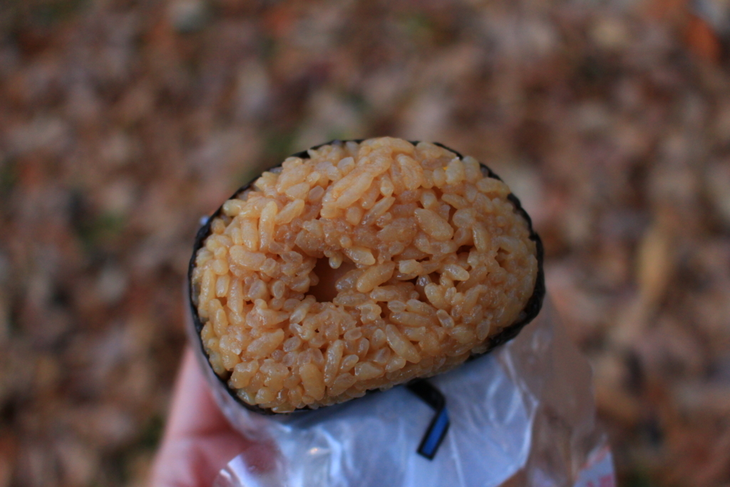f:id:rice-condoleezza:20171210212056j:plain f:id:rice-condoleezza:20171210212056j:plain