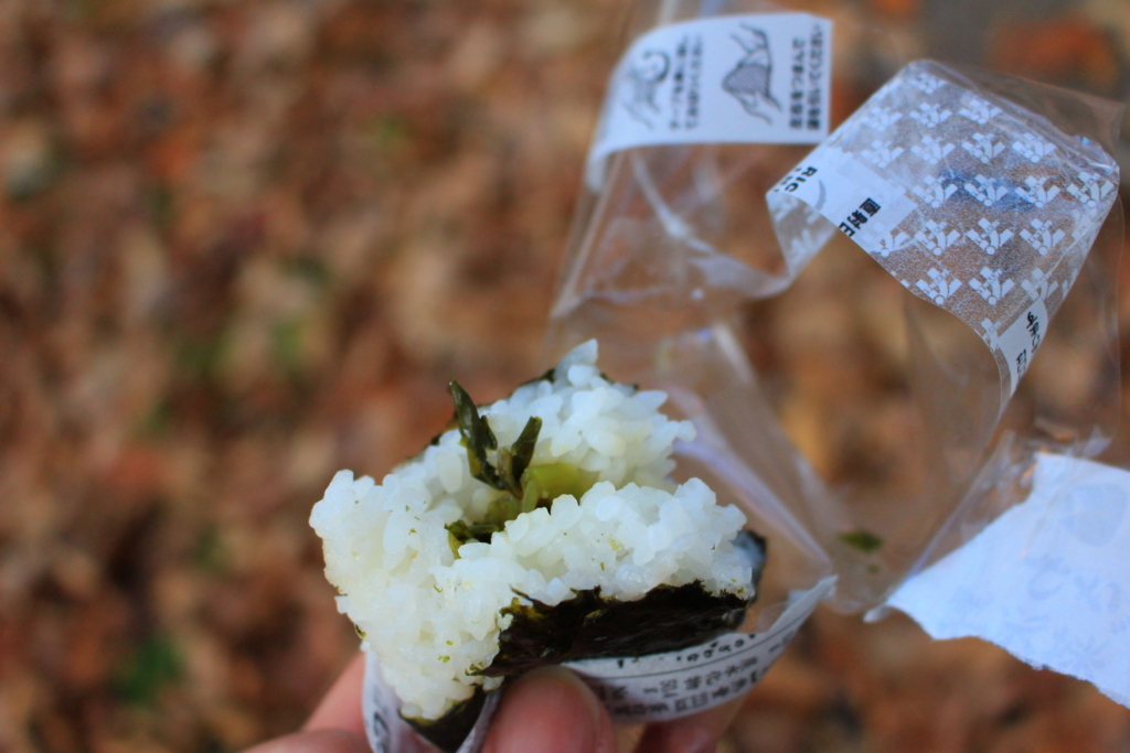 f:id:rice-condoleezza:20171216225209j:plain f:id:rice-condoleezza:20171216225209j:plain