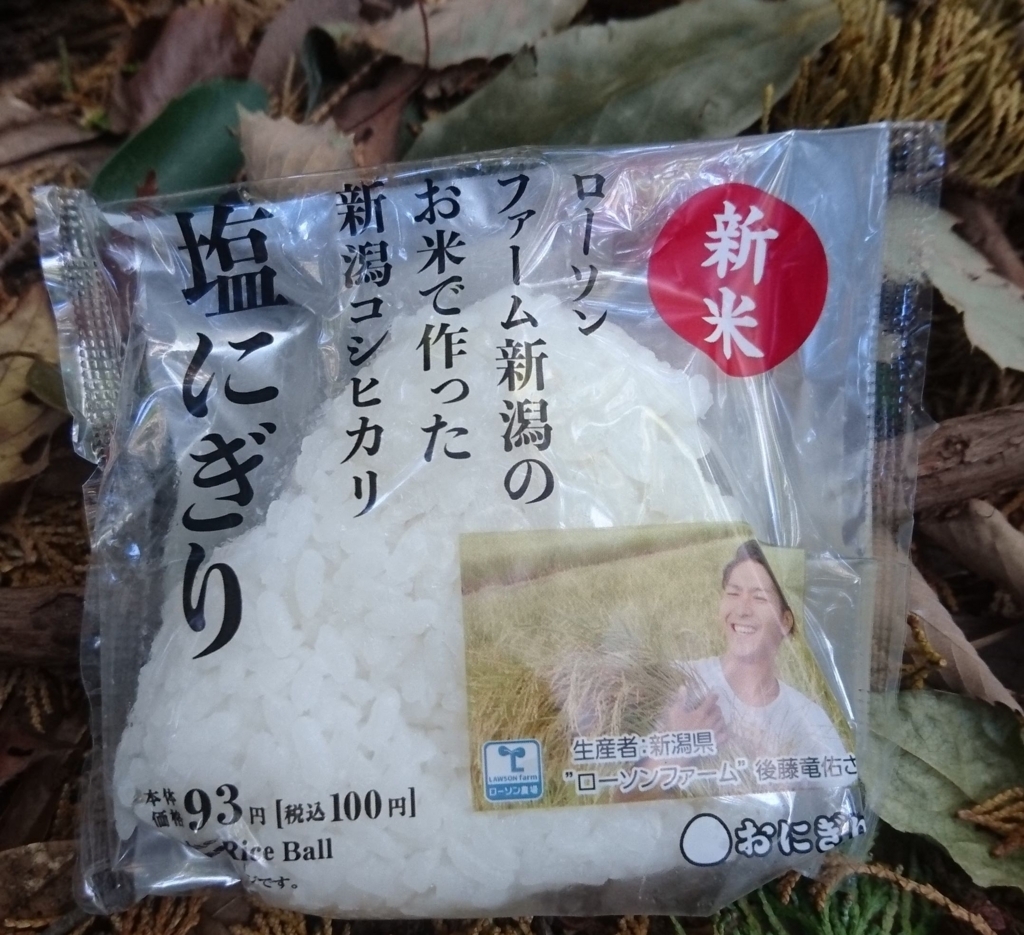 f:id:rice-condoleezza:20171217230949j:plain f:id:rice-condoleezza:20171217230949j:plain