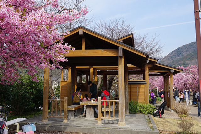 f:id:rice-one:20190321183125j:plain f:id:rice-one:20190321183125j:plain