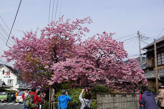 f:id:rice-one:20190321183132j:plain f:id:rice-one:20190321183132j:plain