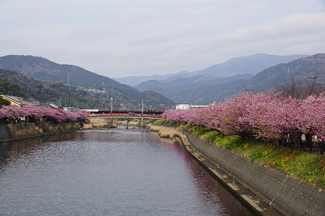 f:id:rice-one:20190321183138j:plain f:id:rice-one:20190321183138j:plain