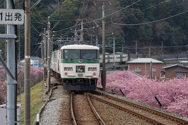 f:id:rice-one:20190407133035j:plain f:id:rice-one:20190407133035j:plain