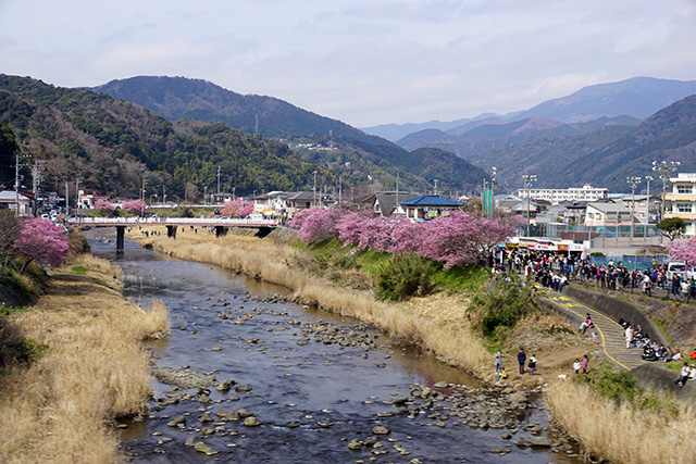 f:id:rice-one:20190407133036j:plain f:id:rice-one:20190407133036j:plain
