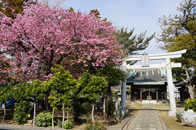 f:id:rice-one:20190407133043j:plain f:id:rice-one:20190407133043j:plain