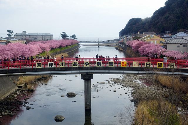 f:id:rice-one:20190407133049j:plain f:id:rice-one:20190407133049j:plain