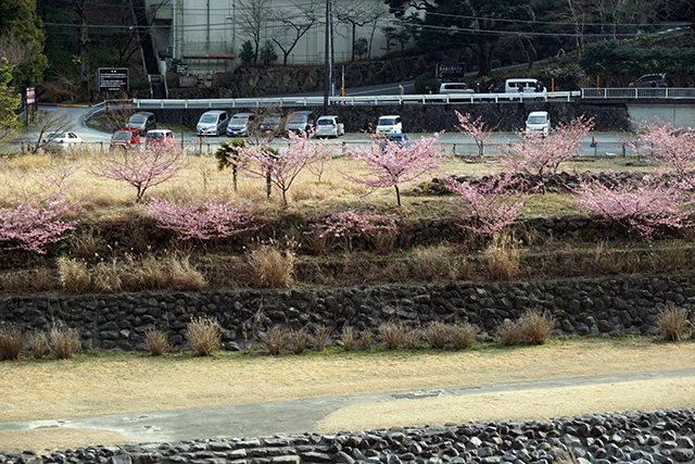 f:id:rice-one:20190407133053j:plain f:id:rice-one:20190407133053j:plain