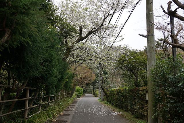 f:id:rice-one:20190414183313j:plain f:id:rice-one:20190414183313j:plain