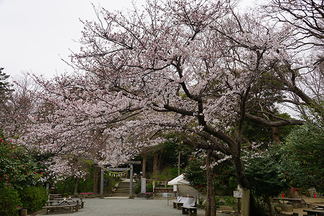 f:id:rice-one:20190414183318j:plain f:id:rice-one:20190414183318j:plain
