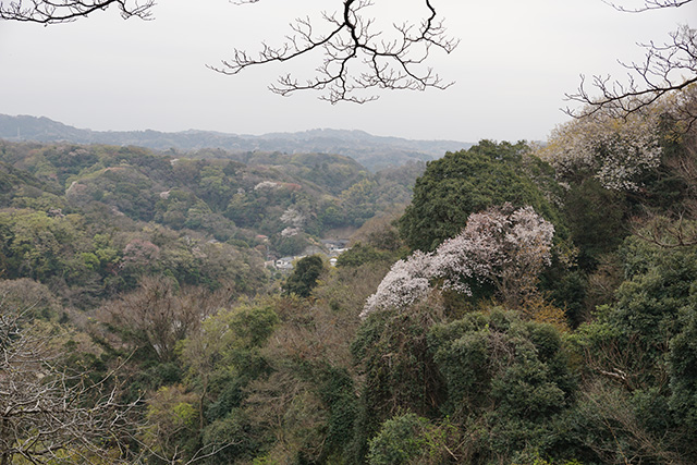 f:id:rice-one:20190414183320j:plain f:id:rice-one:20190414183320j:plain