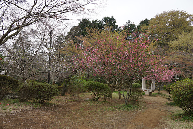 f:id:rice-one:20190414183321j:plain f:id:rice-one:20190414183321j:plain