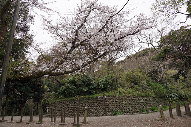 f:id:rice-one:20190414183322j:plain f:id:rice-one:20190414183322j:plain