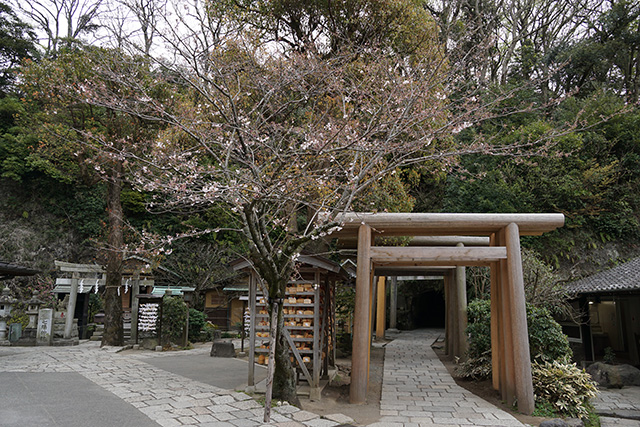 f:id:rice-one:20190416221048j:plain f:id:rice-one:20190416221048j:plain