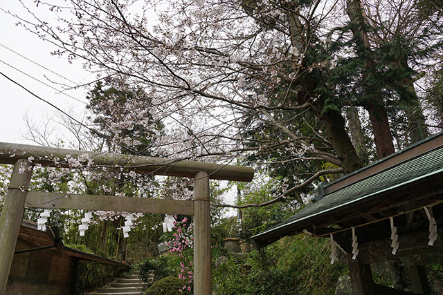f:id:rice-one:20190416221049j:plain f:id:rice-one:20190416221049j:plain