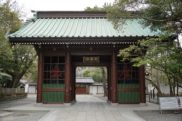 f:id:rice-one:20190416221057j:plain f:id:rice-one:20190416221057j:plain