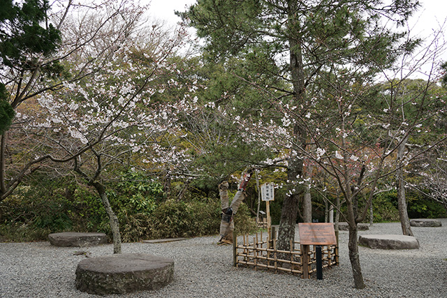 f:id:rice-one:20190416221058j:plain f:id:rice-one:20190416221058j:plain