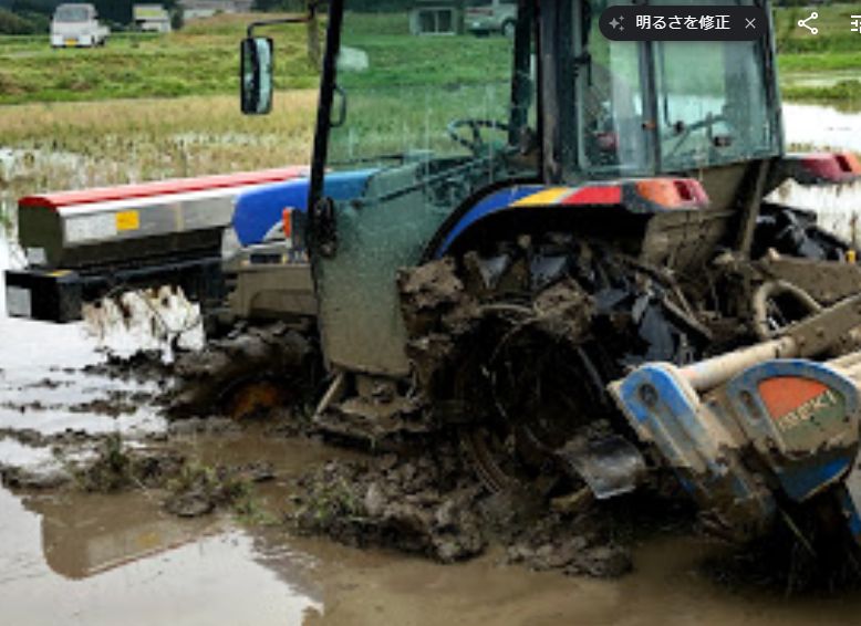 f:id:rice2015:20200521210057j:plain f:id:rice2015:20200521210057j:plain