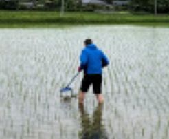 f:id:rice2015:20200521213827j:plain f:id:rice2015:20200521213827j:plain