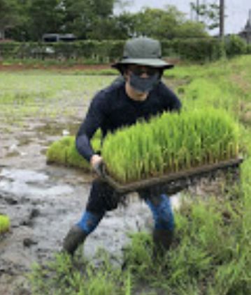 f:id:rice2015:20200609123056j:plain f:id:rice2015:20200609123056j:plain