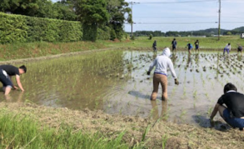 f:id:rice2015:20200609133931j:plain f:id:rice2015:20200609133931j:plain