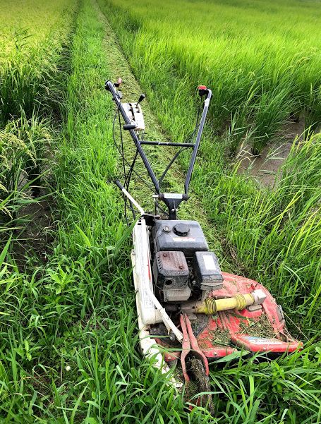 f:id:rice2015:20201029214536j:plain f:id:rice2015:20201029214536j:plain