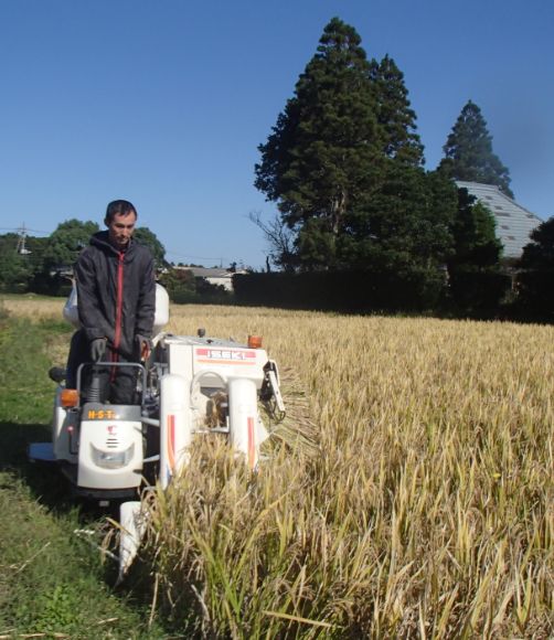 f:id:rice2015:20201029230709j:plain f:id:rice2015:20201029230709j:plain