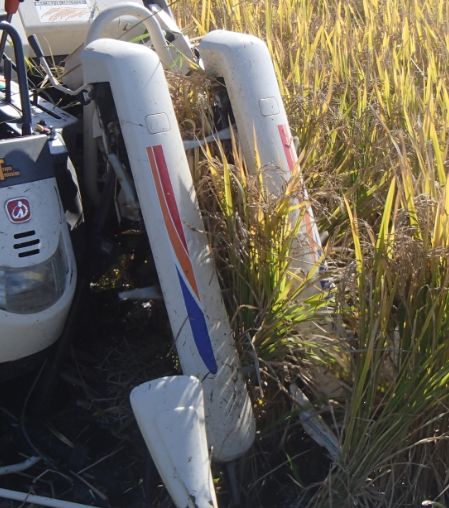 f:id:rice2015:20201029230825j:plain f:id:rice2015:20201029230825j:plain