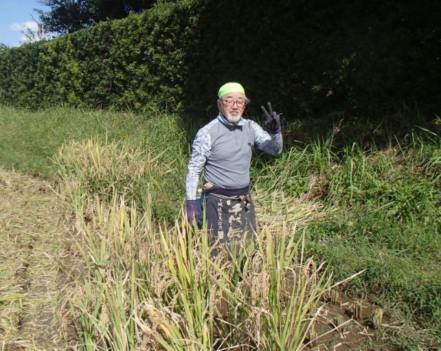 f:id:rice2015:20201029232222j:plain f:id:rice2015:20201029232222j:plain