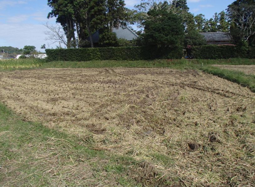 f:id:rice2015:20201029233020j:plain f:id:rice2015:20201029233020j:plain