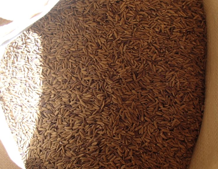 f:id:rice2015:20201106120303j:plain f:id:rice2015:20201106120303j:plain