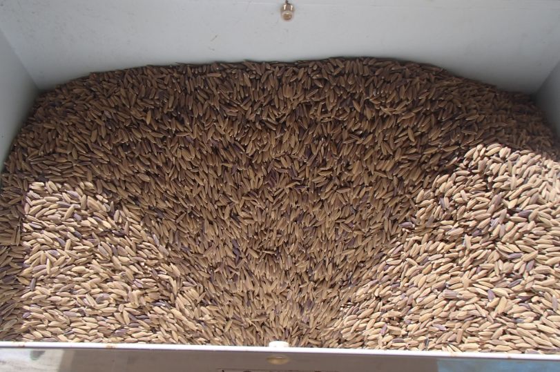 f:id:rice2015:20201106123526j:plain f:id:rice2015:20201106123526j:plain