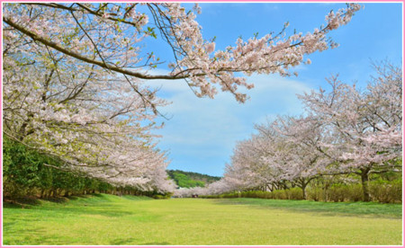 f:id:rice63:20150719161658j:image:right