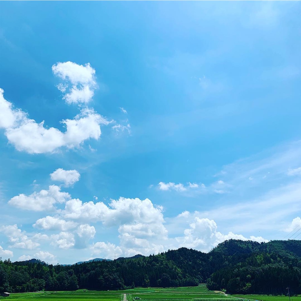 f:id:riceonthenet:20190811172614j:image