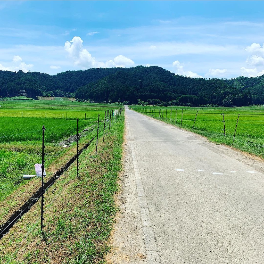 f:id:riceonthenet:20190811172618j:image
