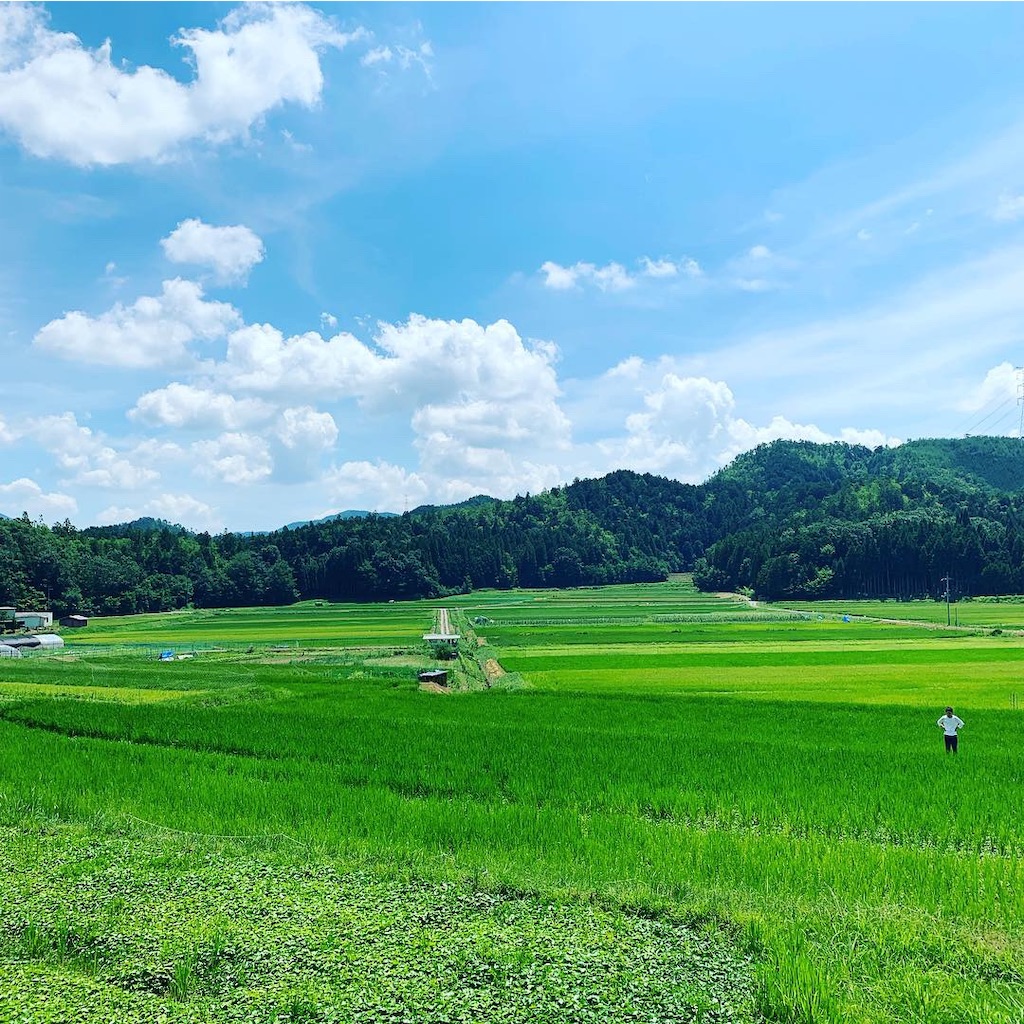 f:id:riceonthenet:20190816112915j:image