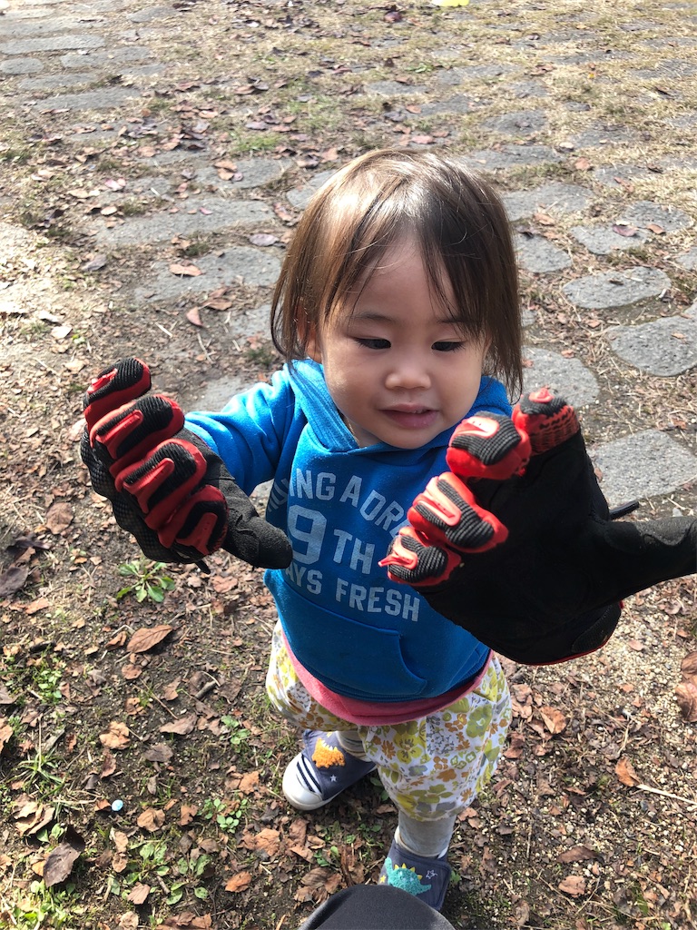 f:id:ricerockets:20191118121851j:image