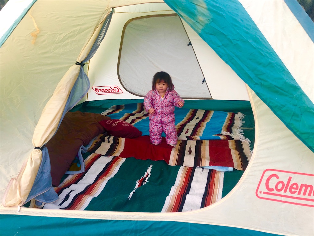 f:id:ricerockets:20200202213329j:image