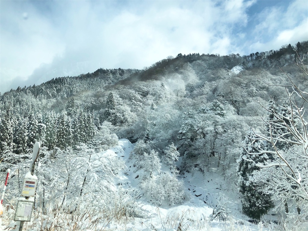 f:id:ricerockets:20200209213100j:image