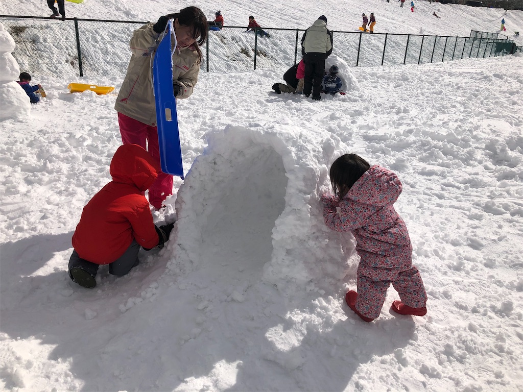 f:id:ricerockets:20200209220800j:image