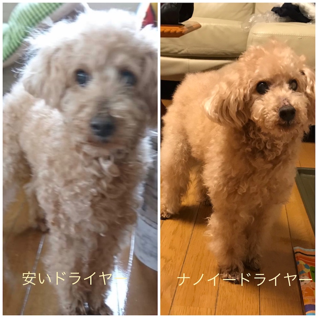 f:id:richaaad:20190528234736j:image f:id:richaaad:20190528234736j:image