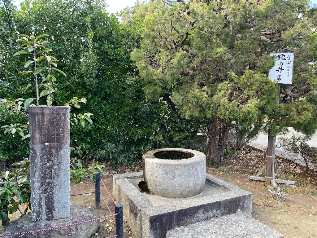 f:id:richiosan:20241201140607j:image f:id:richiosan:20241201140607j:image