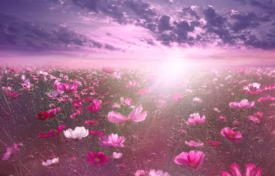 f:id:rick1208:20200407220329p:plain