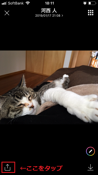 f:id:rick1208:20200904172219p:plain