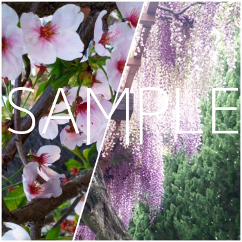 f:id:rick1208:20200915121522p:plain