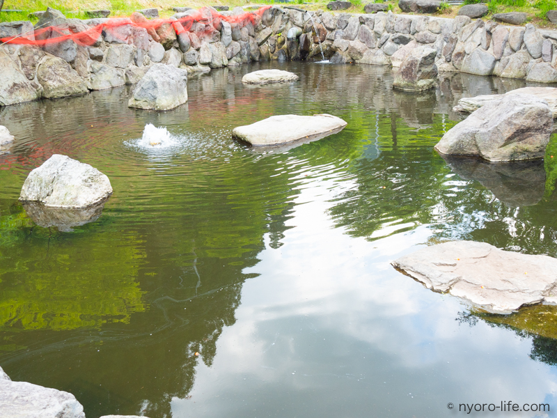 f:id:ricky-ss:20190512211646j:plain