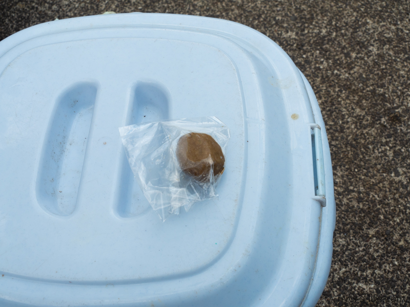 f:id:ricky-ss:20190512211813j:plain