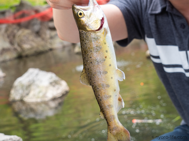 f:id:ricky-ss:20190512212652j:plain