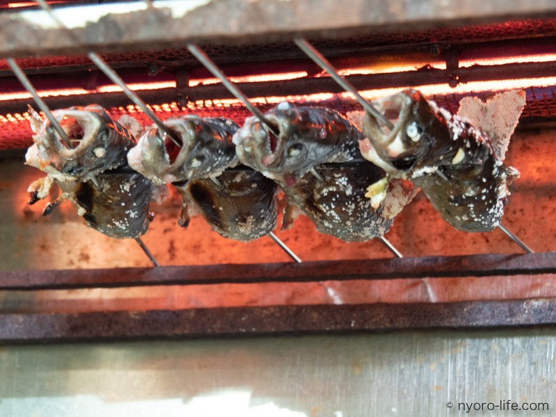 f:id:ricky-ss:20190512213922j:plain