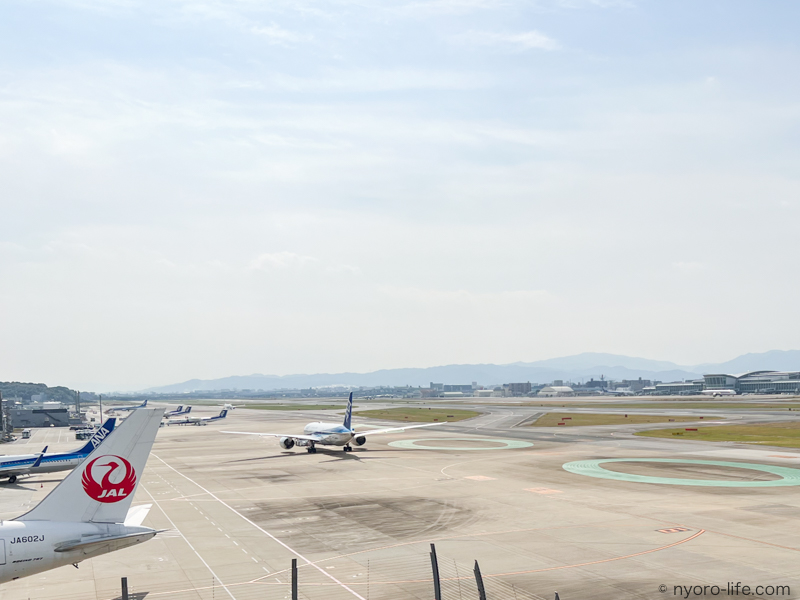 f:id:ricky-ss:20211105182808j:plain