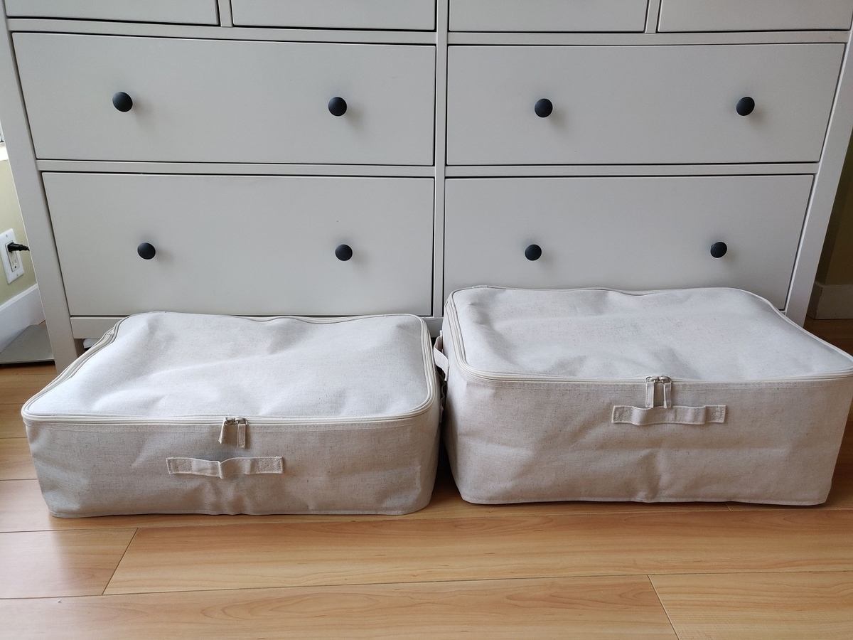 f:id:rico_log:20191015011633j:plain